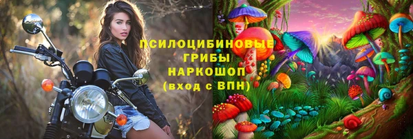 винт Каменск-Шахтинский