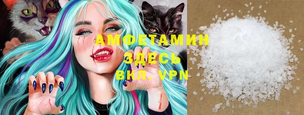 индика Карпинск