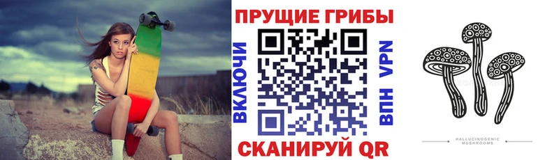 Галлюциногенные грибы Psilocybe  Купить закладки  Белогорск 